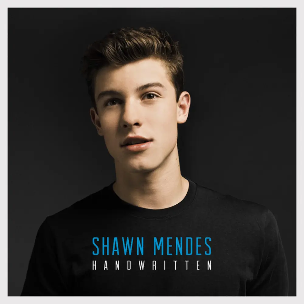 Lirik terjemahan dan arti makna lagu Stitches karya dari Shawn Mendes