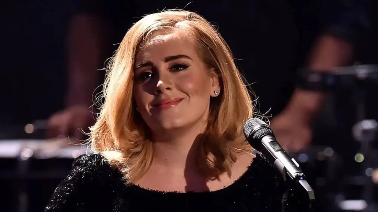 Lirik terjemahan dan arti makna lagu When We Were Young karya dari Adele