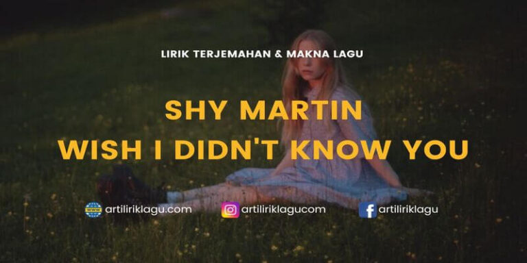 Lirik Lagu Wish I Didn’t Know You – SHY Martin dan Terjemahan Indonesia