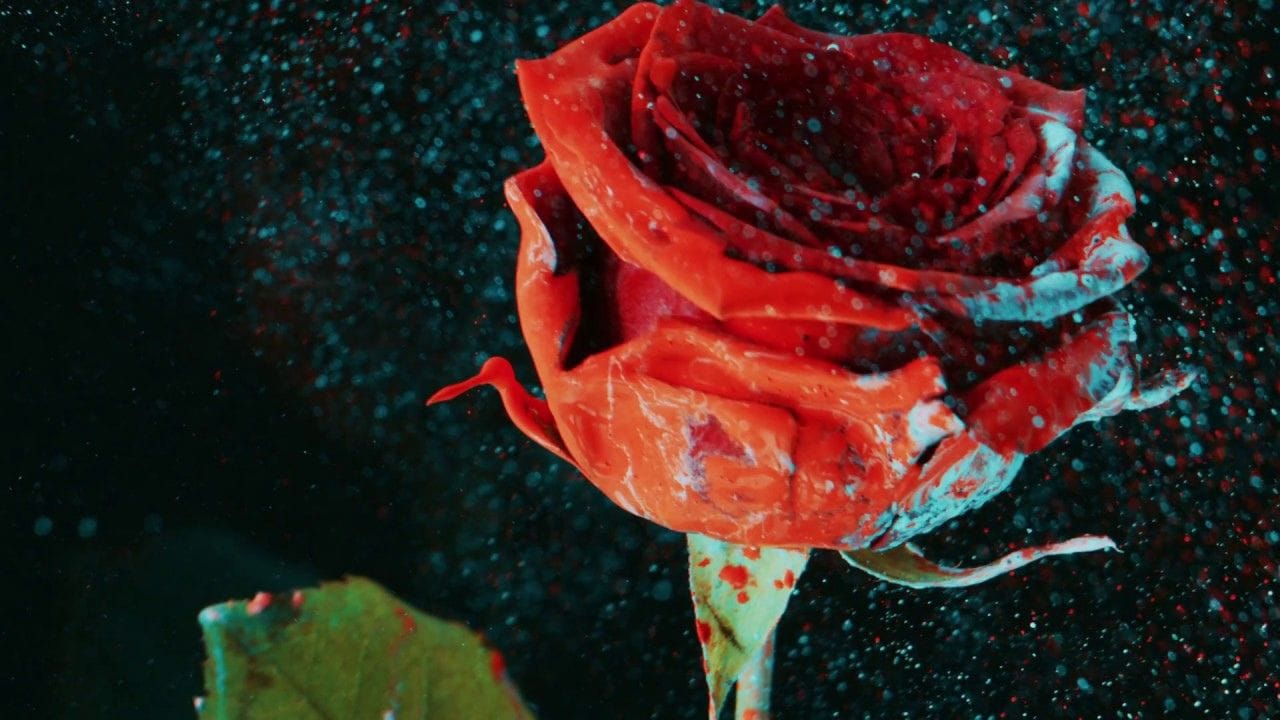 Lirik terjemahan dan arti makna lagu So Far Away dari Martin Garrix & David Guetta