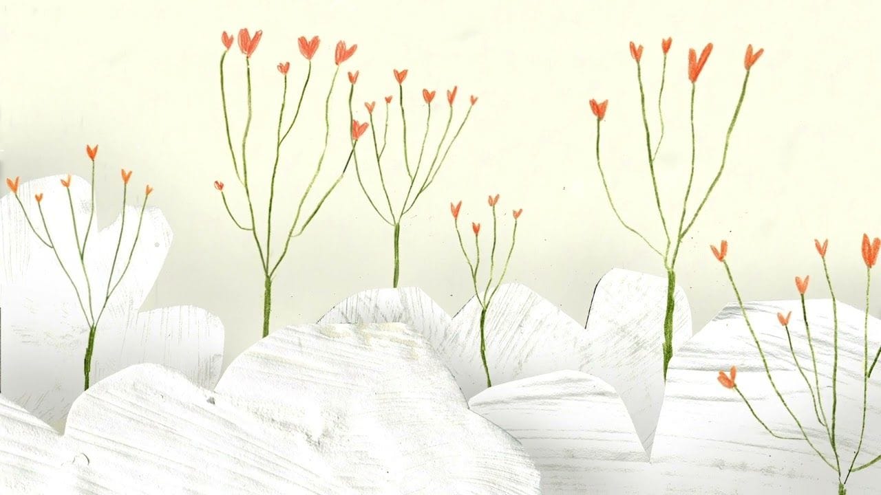 Lirik terjemahan dan arti makna lagu Valentine dari Laufey