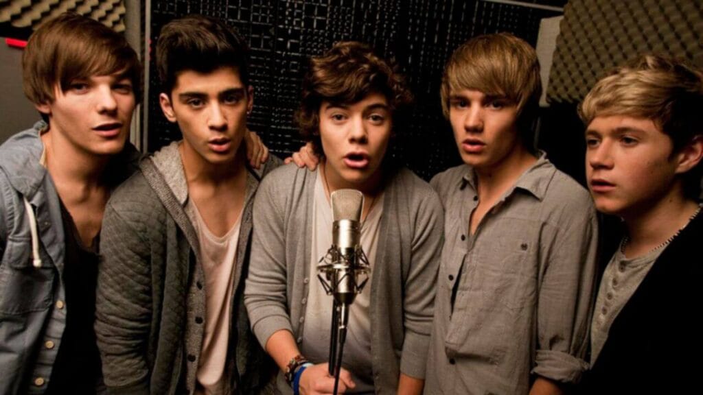Lirik terjemahan dan arti makna lagu They Don't Know About Us dari One Direction