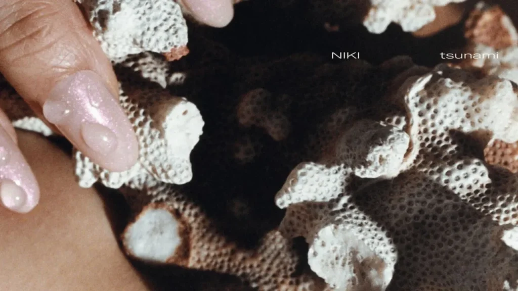 Lirik terjemahan dan arti makna lagu Tsunami dari NIKI