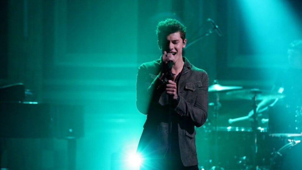 Lirik terjemahan dan arti makna lagu Mercy dari Shawn Mendes