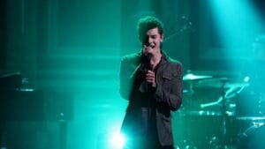 Lirik terjemahan dan arti makna lagu Mercy dari Shawn Mendes