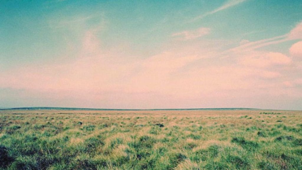 Lirik terjemahan dan arti makna lagu Whatever dari Oasis