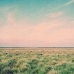 Lirik terjemahan dan arti makna lagu Whatever dari Oasis