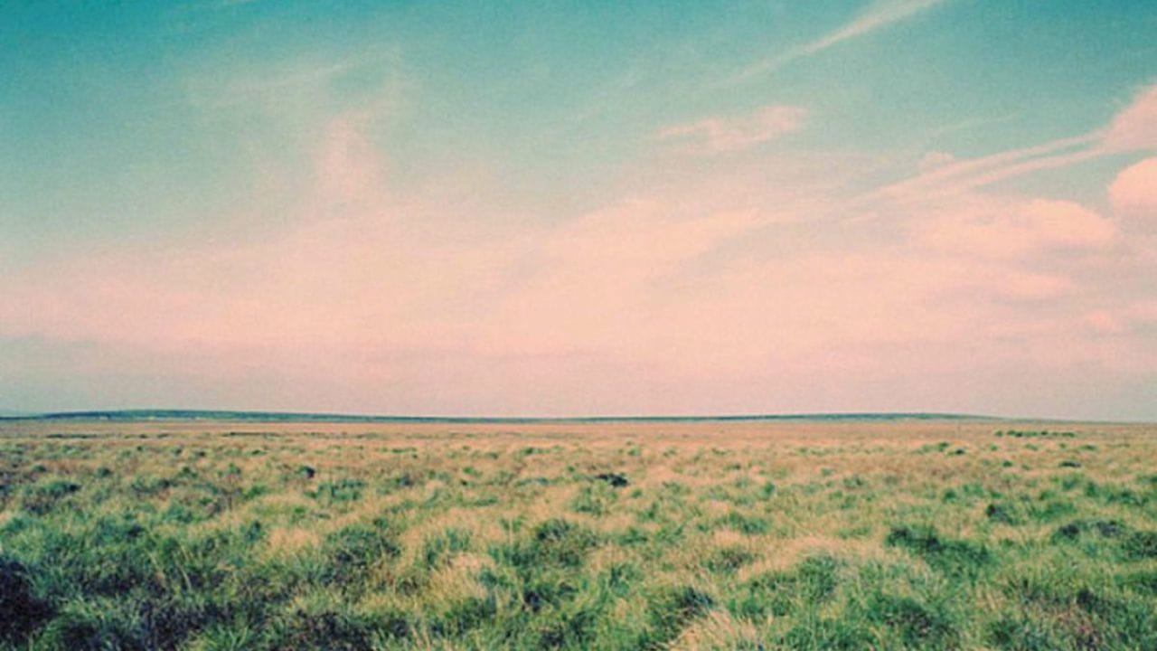 Lirik terjemahan dan arti makna lagu Whatever dari Oasis